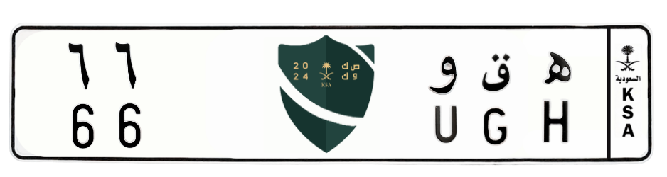 لوحة ه ق و 66